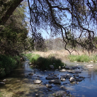 TweedyRanch (41)